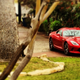 Illustration for article titled Why A Loud, Cramped, Crazy SRT Viper Is Road Trip Perfection